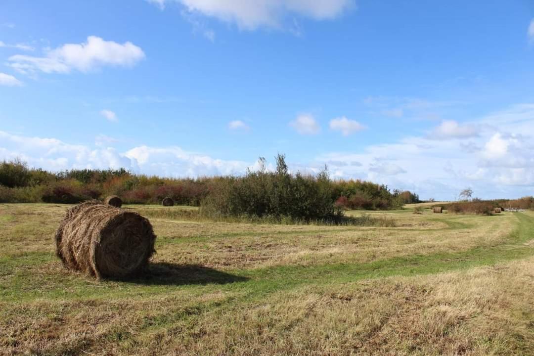 Holiday home Grindweg 4c